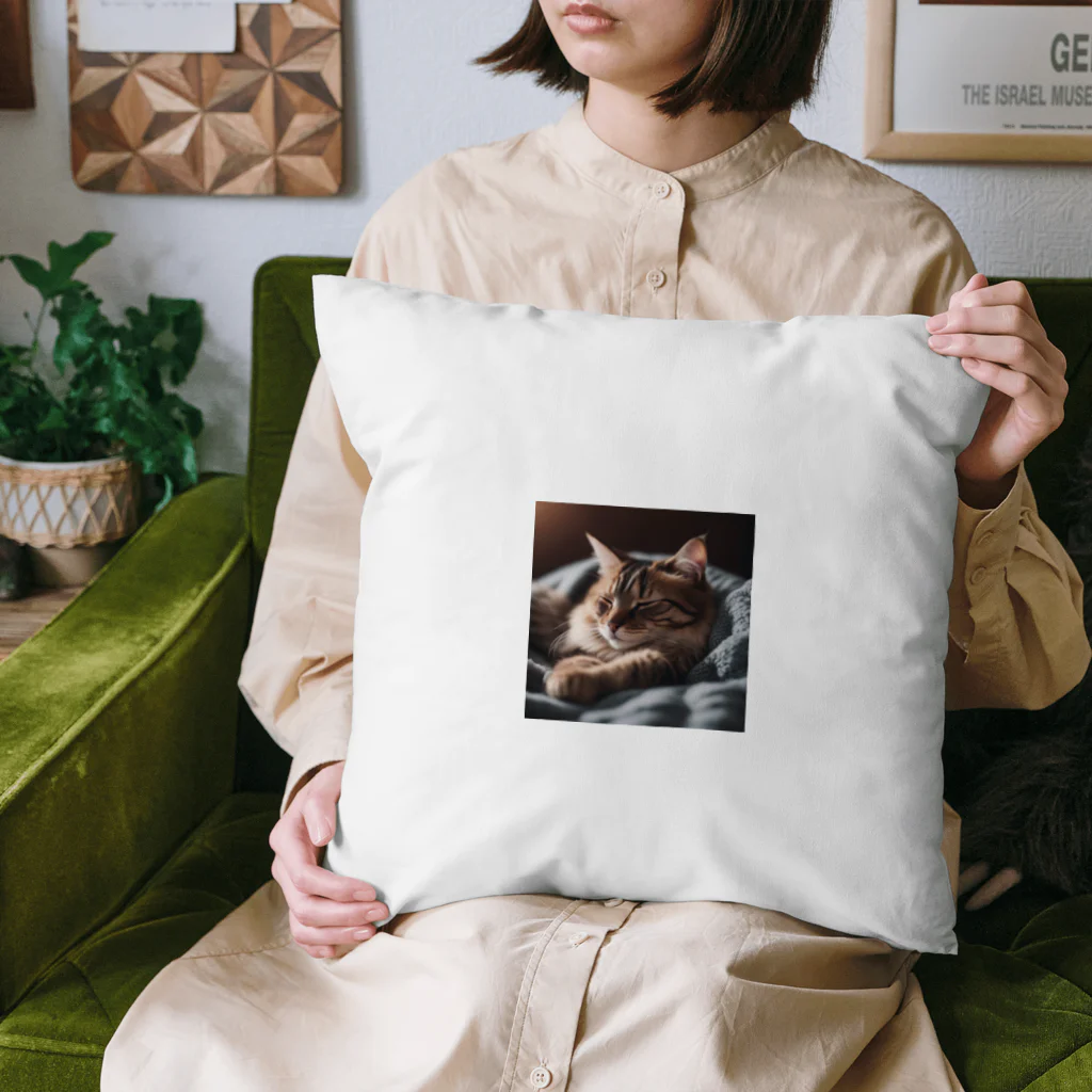 LuckyRiverShineの寝ている猫 Cushion