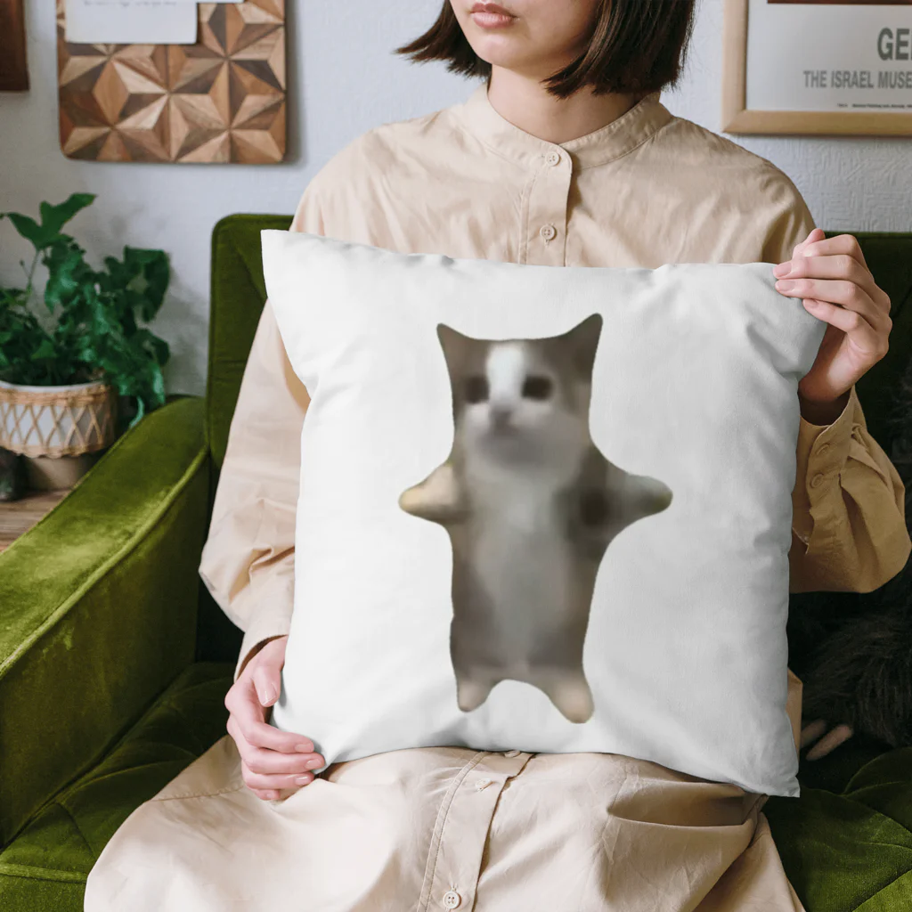 shun1319の今話題の猫ミーム！ Cushion