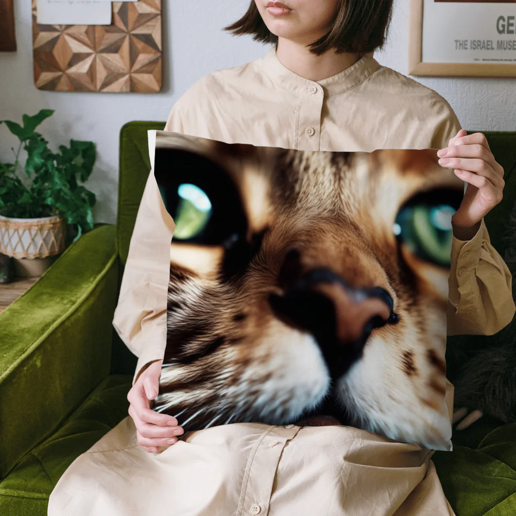 feliceのキャットフードの匂いに反応する猫 Cushion