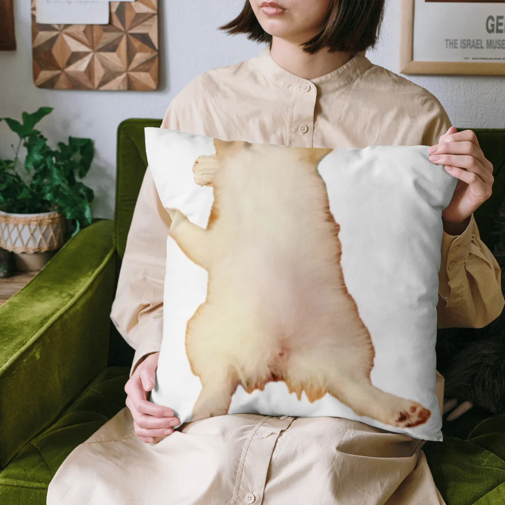 saiakunの今日も元気なハオchanのチャームポイント Cushion