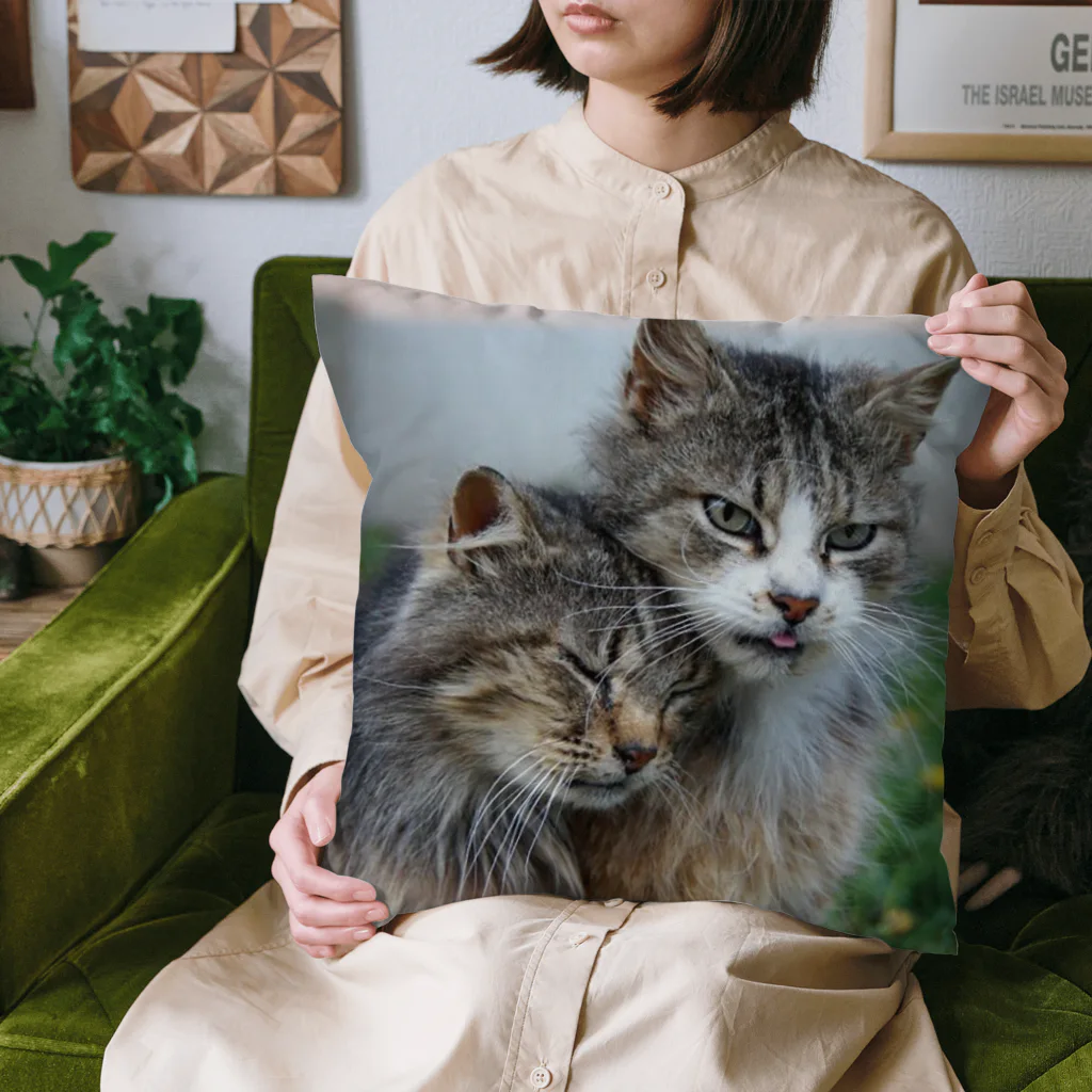 ニゴ猫　shopの愛だろう愛 Cushion