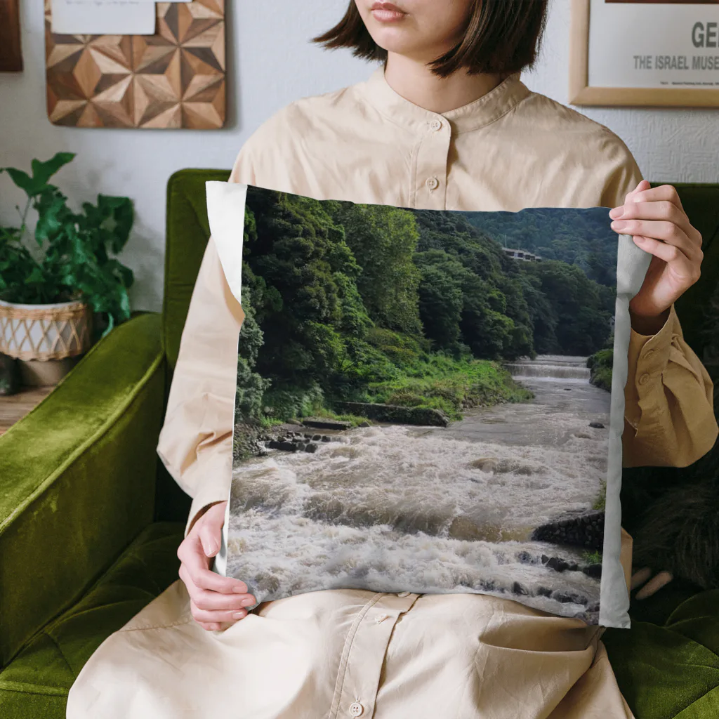 TACOIKAのHakone　RainyDay Cushion