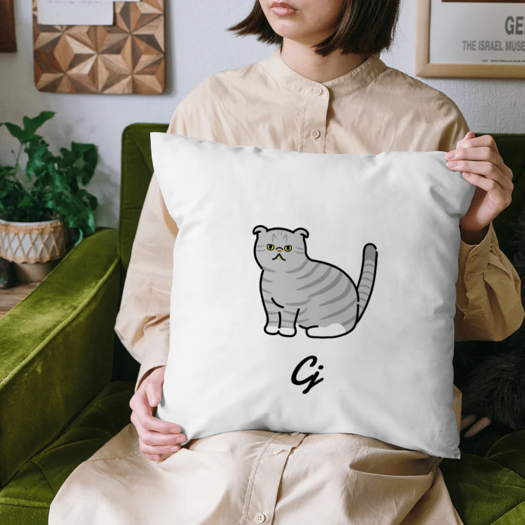 うちのこメーカーのCj Cushion