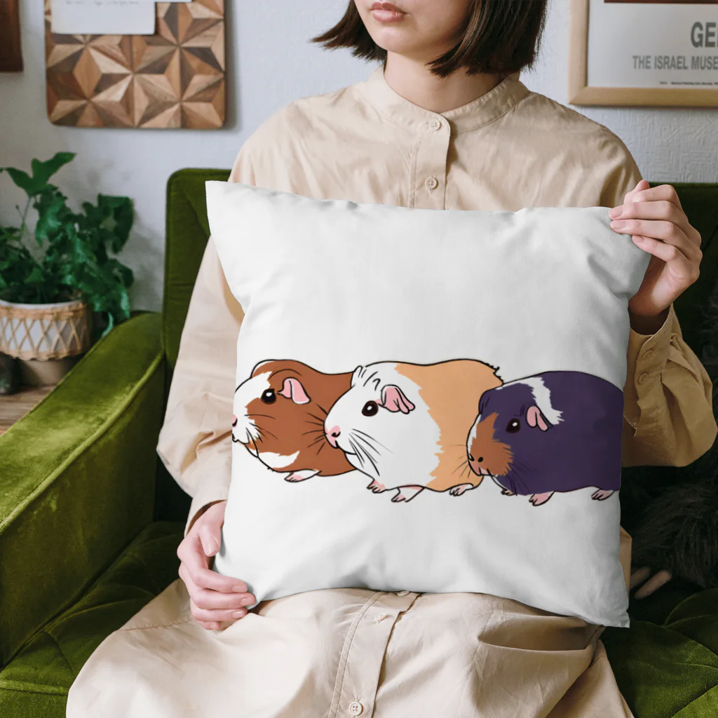 OKameMolꕤ︎︎オカメモルの3色の個性派モルモット Cushion