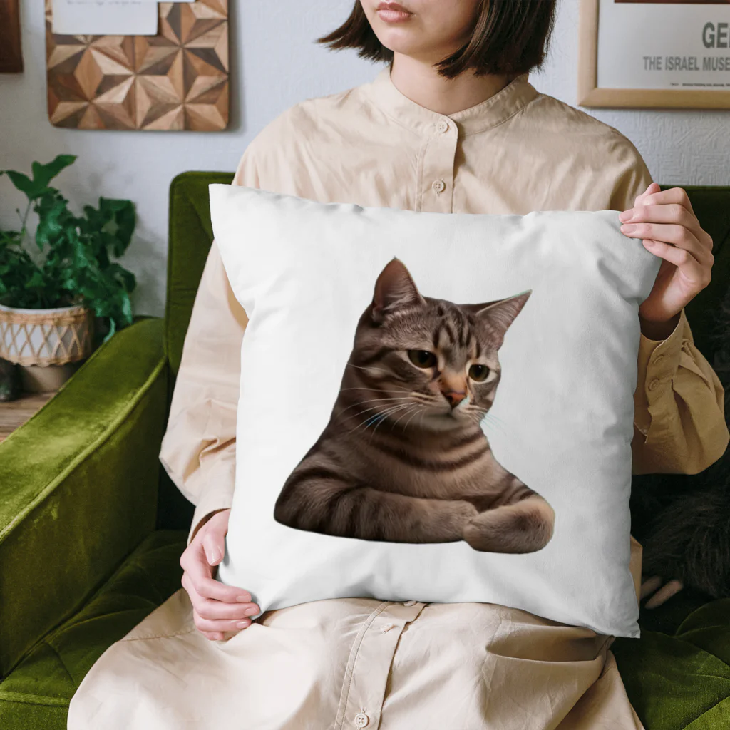 うりぼうの悟る猫ミーム Cushion