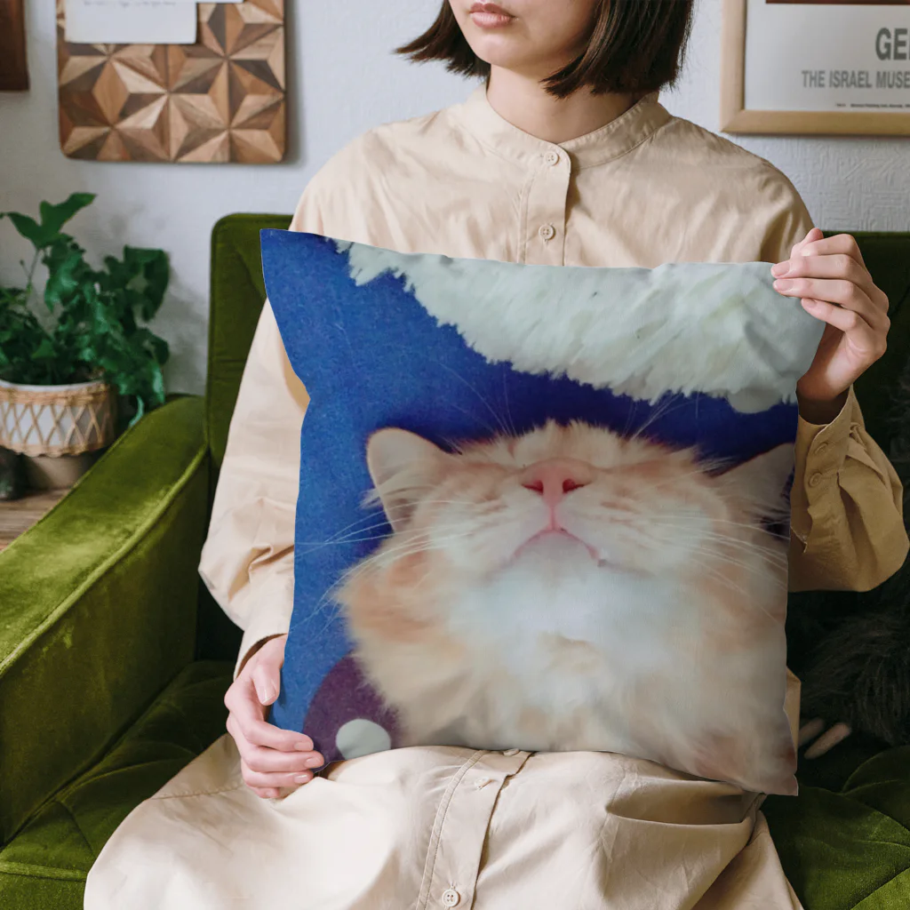 Mizuki・ASIA CATのcoco Cushion