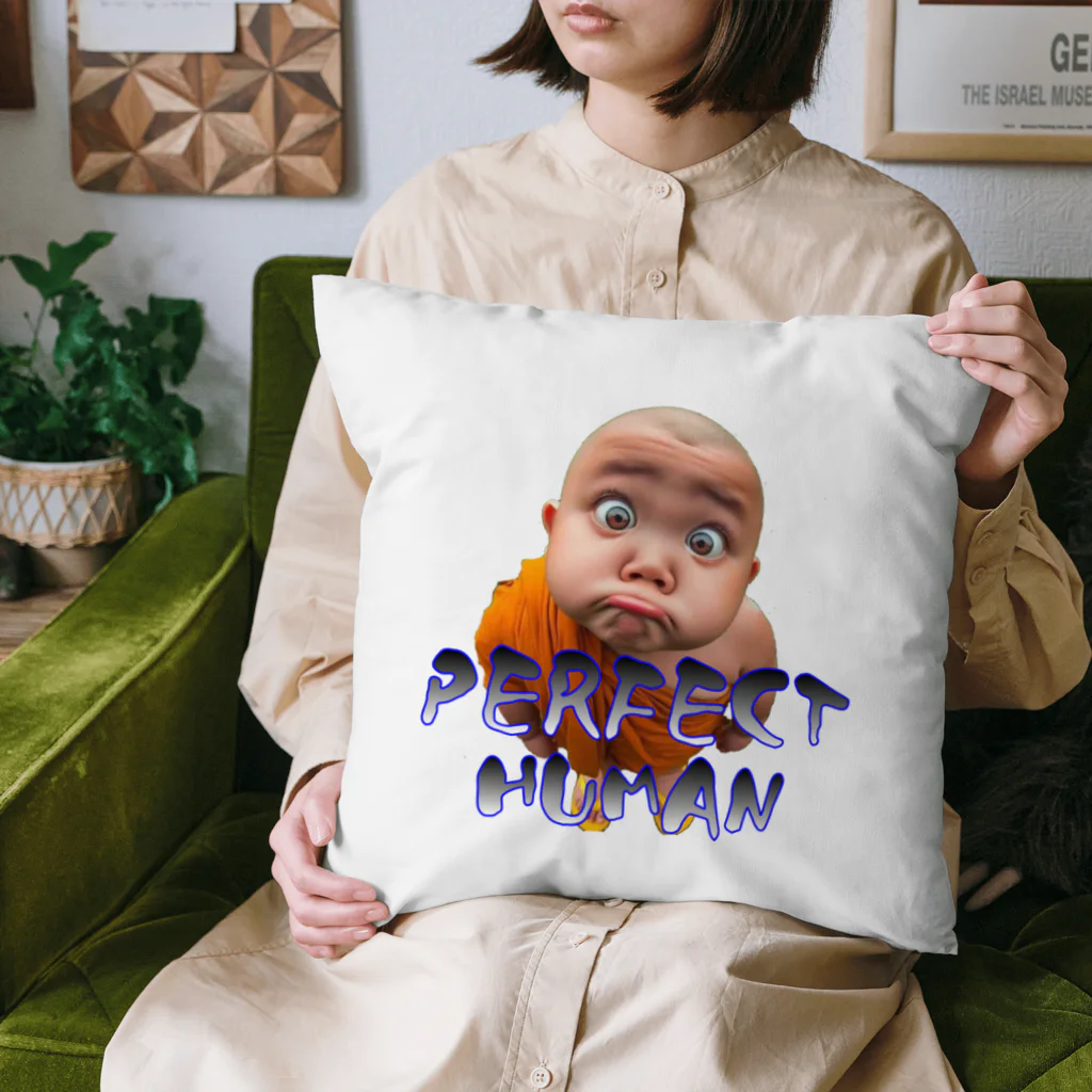 ニゴ猫　shopのPERFECT HUMAN Cushion