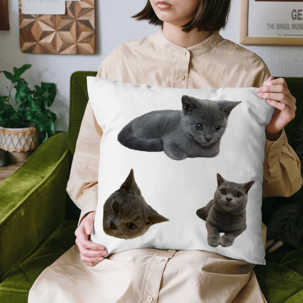 うちの猫ちゃんたちのるうなトライアングル♻️_No.1 Cushion