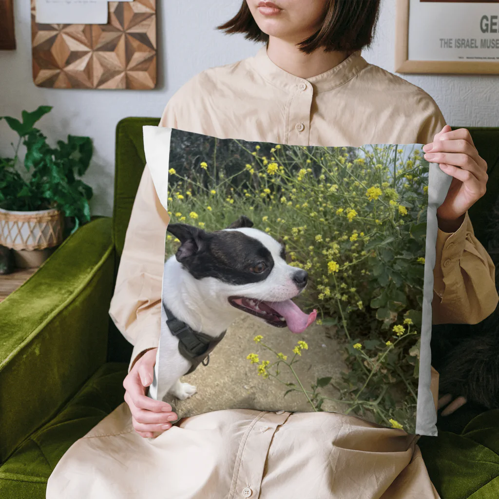 Funniestdogpuddingのおもしろ犬ハイキング Cushion