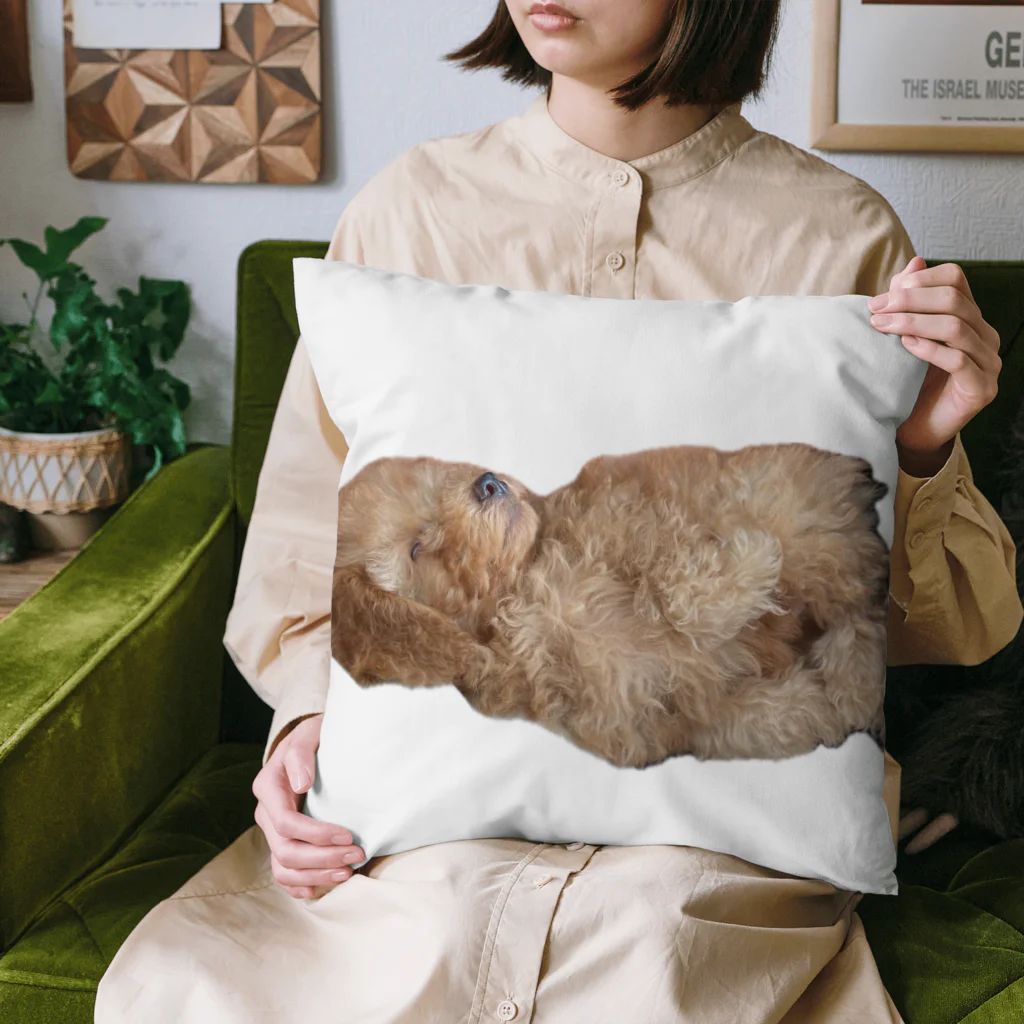 ちょっと変なアラサーの限界犬 Cushion