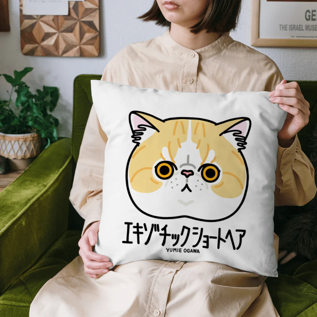 オガワユミエの33エキゾチックショートヘア（キャラ） Cushion