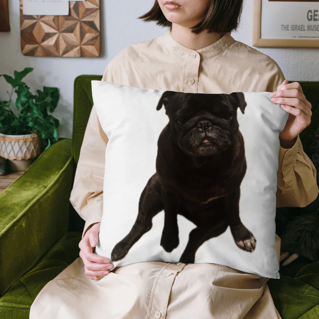 EHMforyouのパグ Cushion