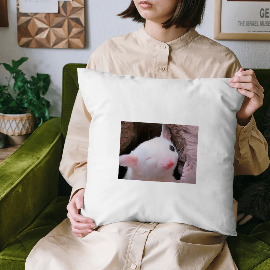 もち家族❣️のもち家族 Cushion