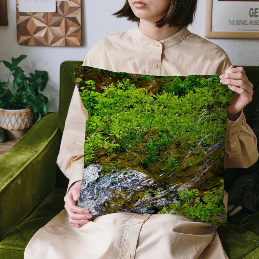 NaturalCanvasの清流 Cushion