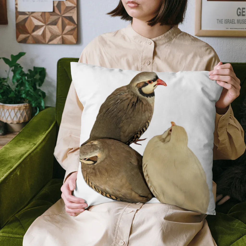 でぶんちょう🦆のぐるぐるイワシャコ Cushion