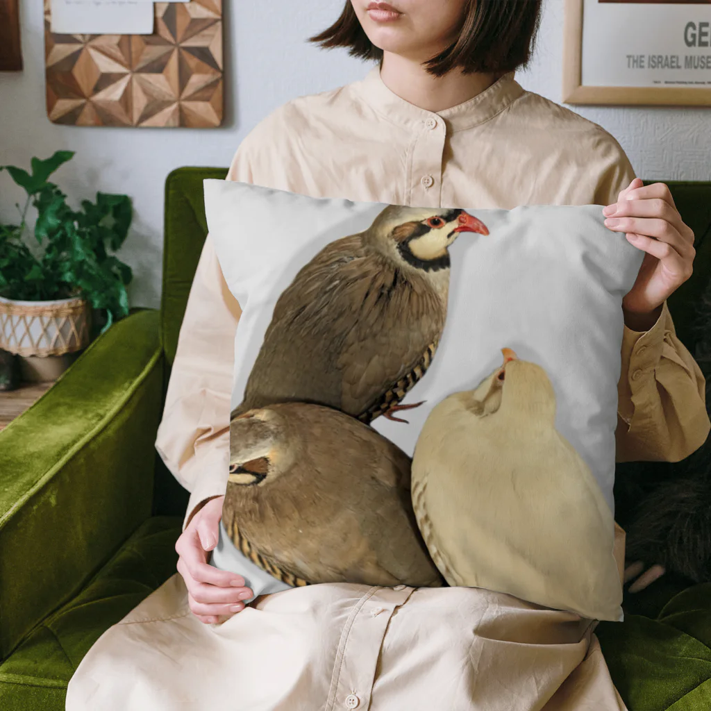 でぶんちょう🦆のぐるぐるイワシャコ(グレー) Cushion