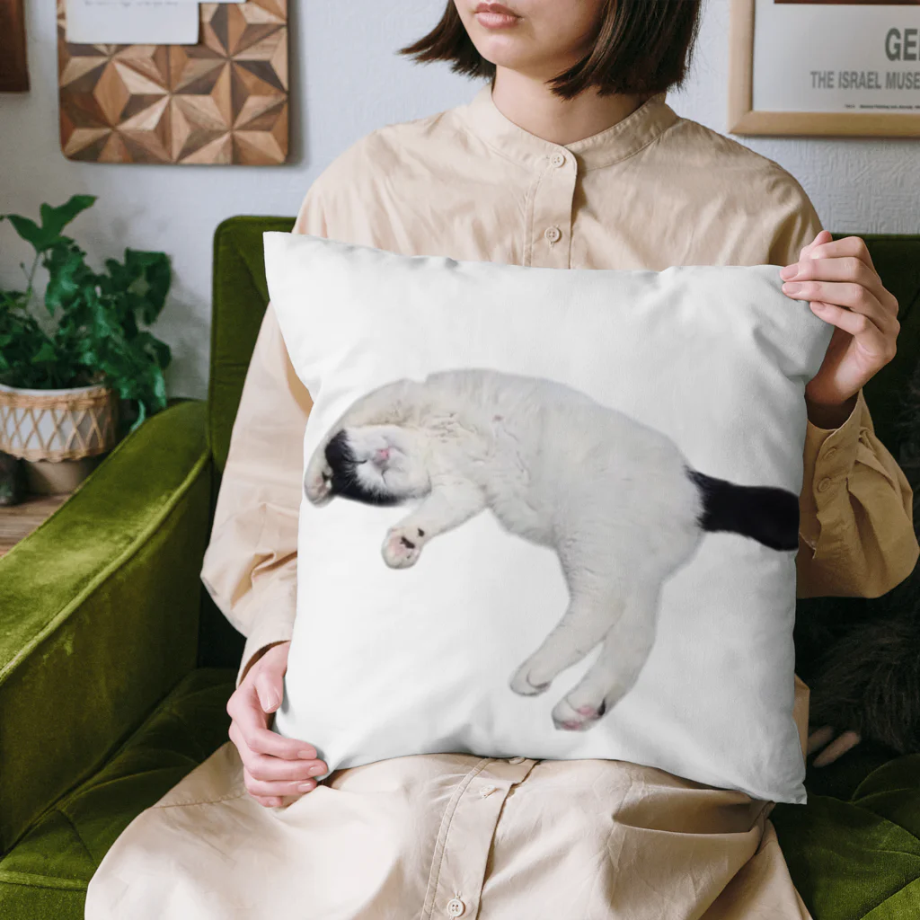 クリスタの尻尾が短い保護猫 たぬちゃん Cushion