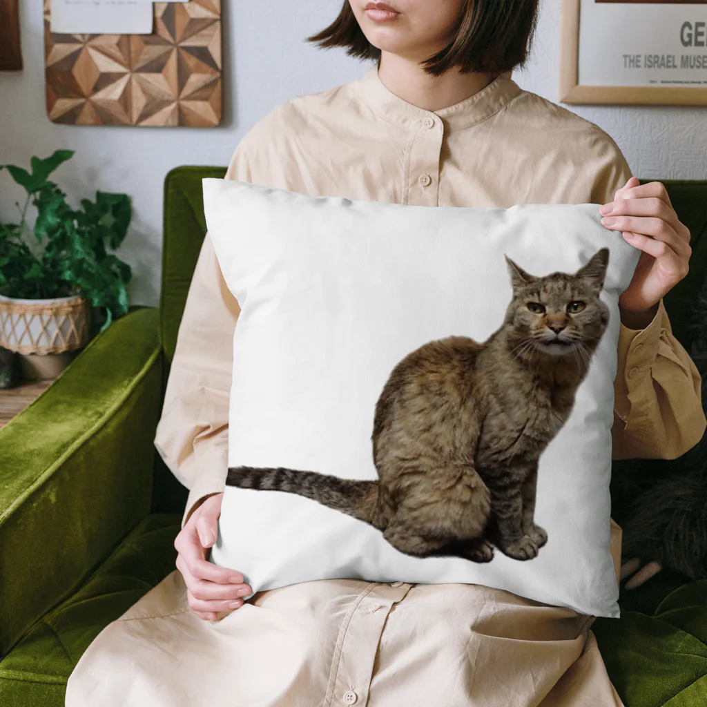 クリスタの保護猫 ポポちゃん Cushion