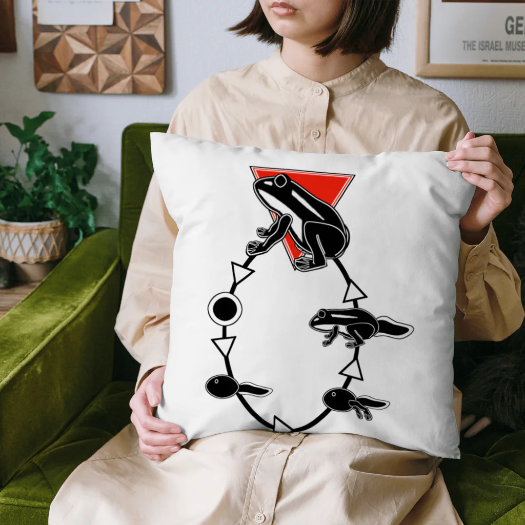 OHASIのFrog Wqrld Cushion