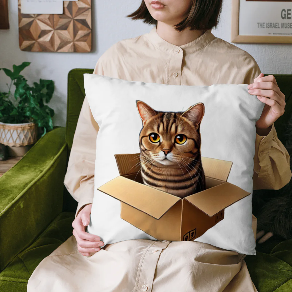 猫の小梅お嬢さんの小梅ちゃん　箱猫 Cushion