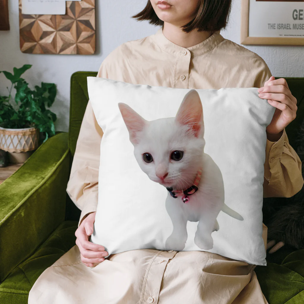 Norinyansのこなつちゃん２ Cushion