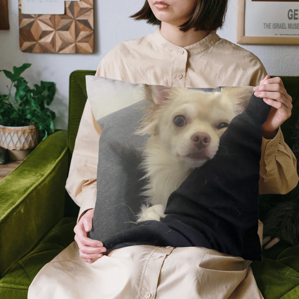 あめWAかわいいのぐいぐいくるあめ Cushion