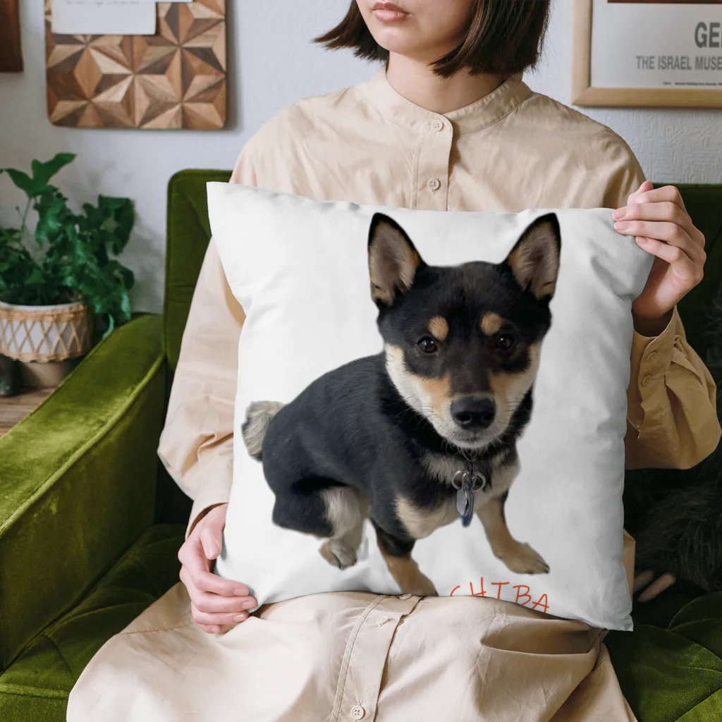 うたた寝の🐾豆柴BOY🐾 世界中で愛される柴犬　1歳 Cushion