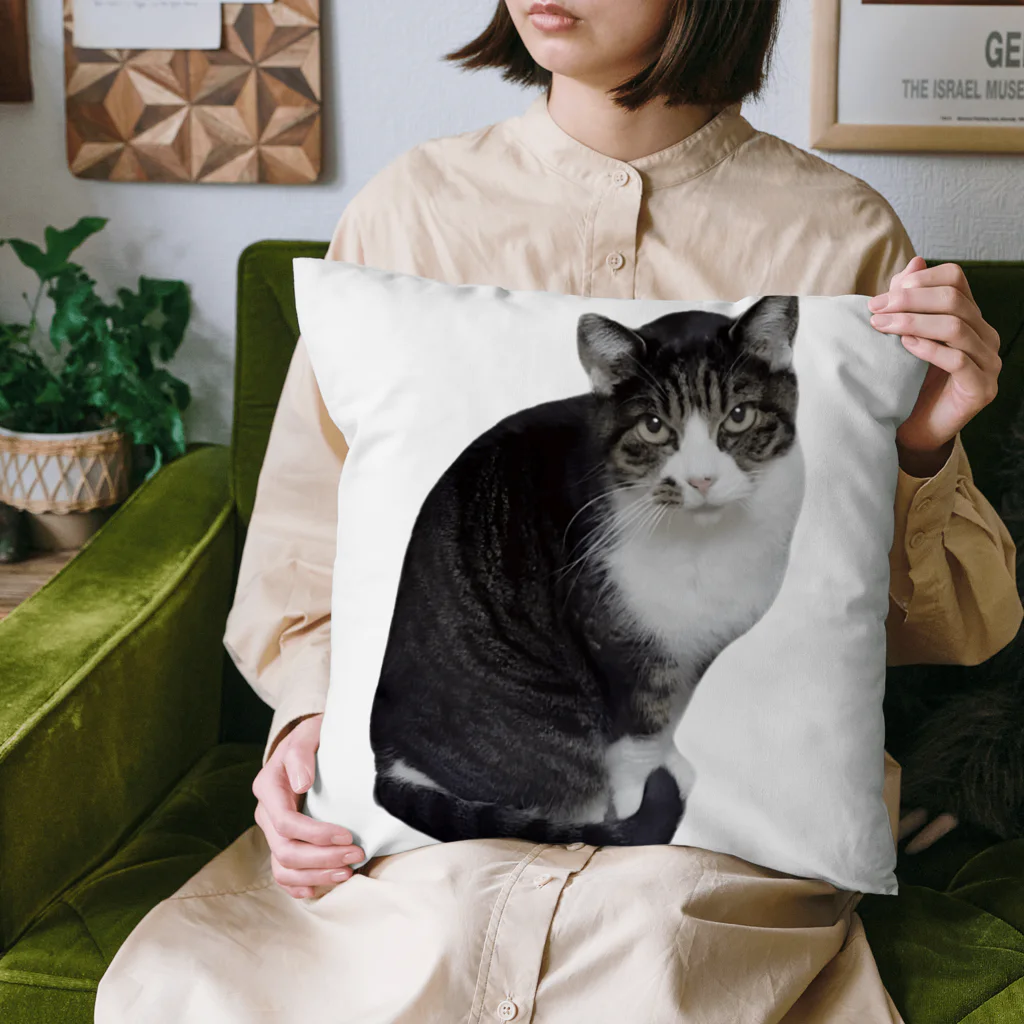 D・K　Design.saitama　ディーケーデザインさいたまのなあや Cushion
