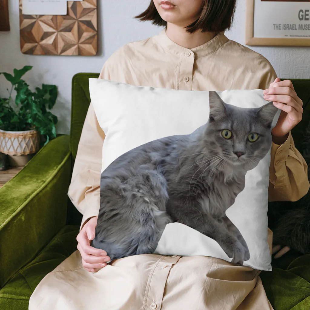 Norinyansの虎くん Cushion