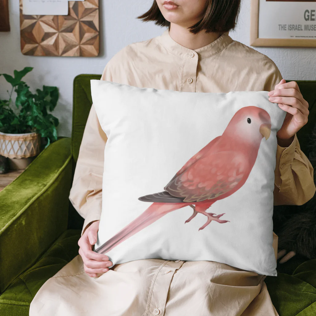 まめるりはことりのアキクサインコ　ピンク【まめるりはことり】 Cushion