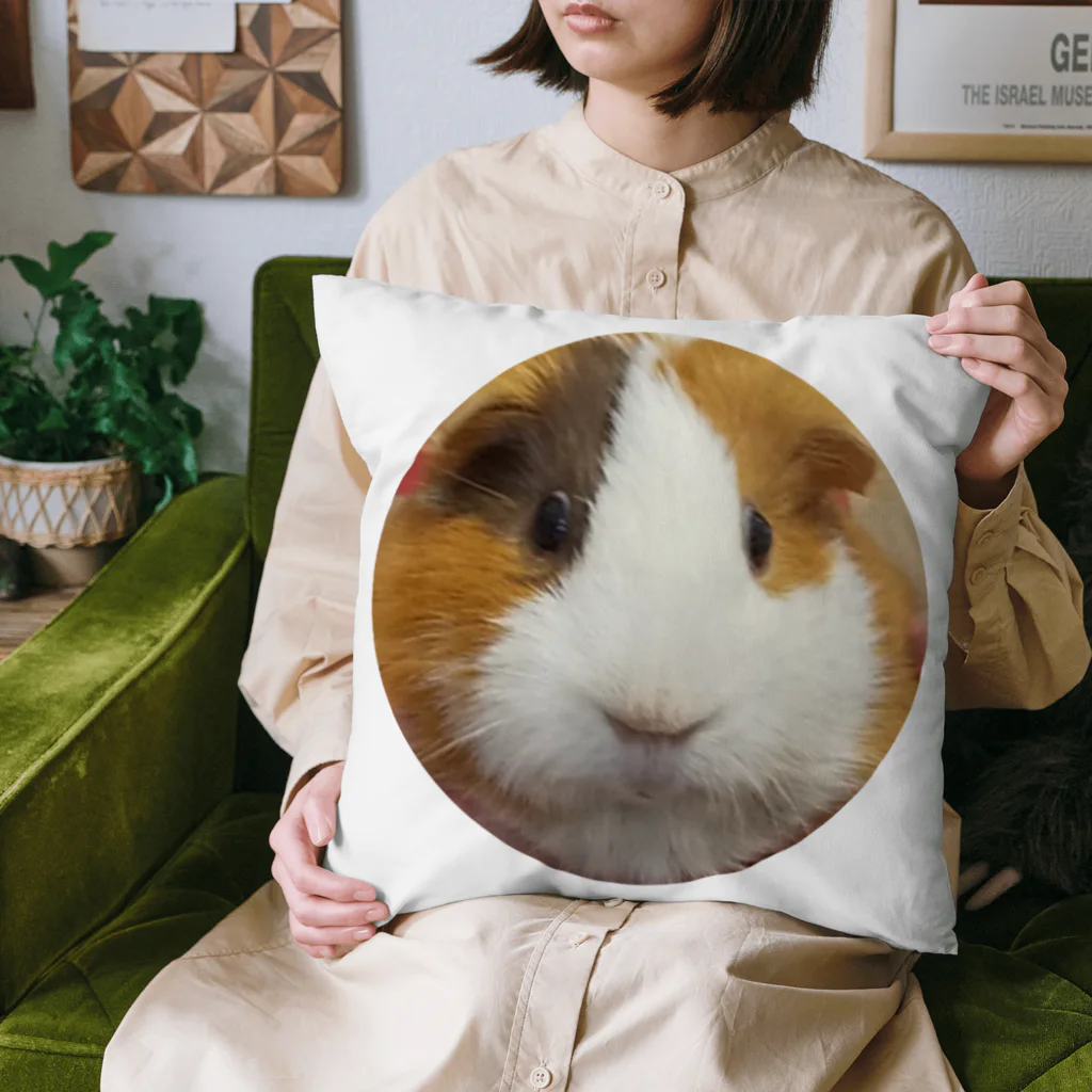 モルモットのミマモル隊のマルちゃん Cushion