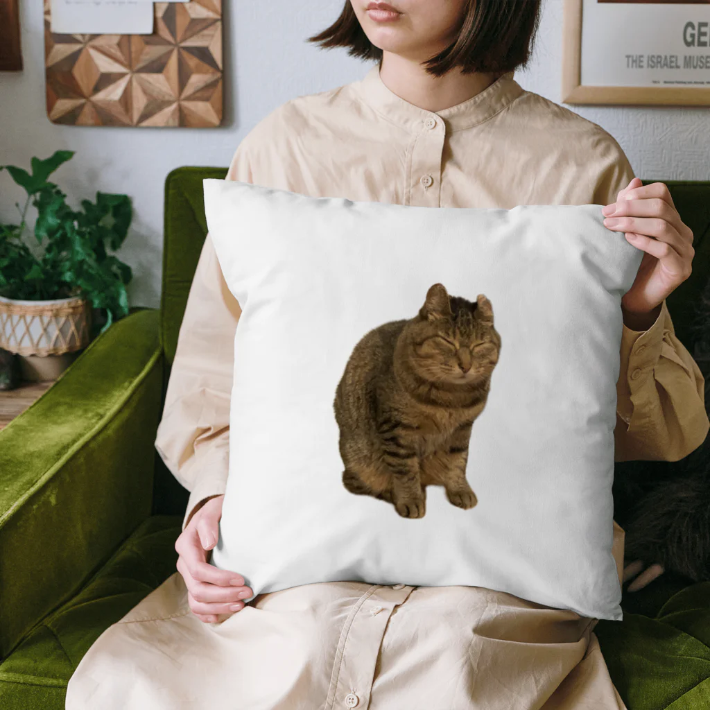 猫のナスキーのグッズたちの猫のナスキー極秘グッズ Cushion