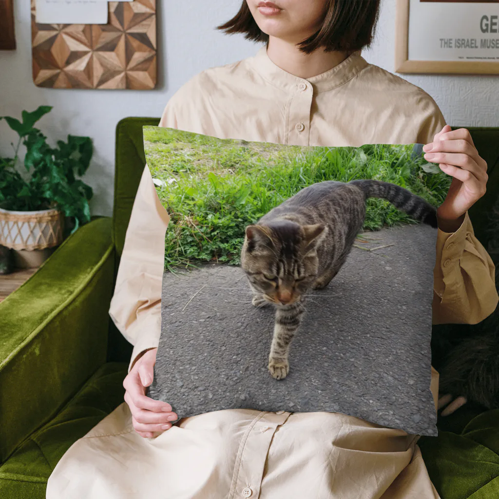 ながしっぽ from.さくらねこの家のとらちゃん　type.D Cushion