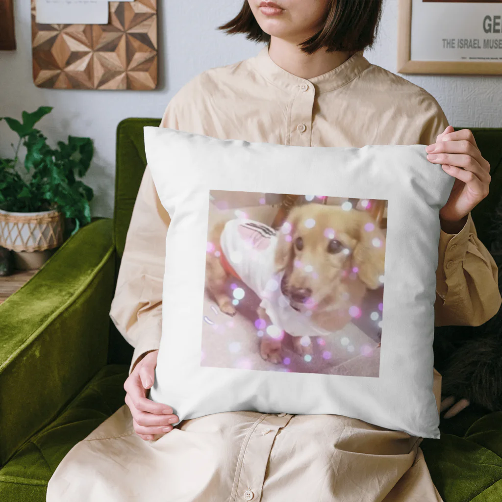 ミニチュアダックスのマロン君のミニチュアダックス マロン君 ラブリー Cushion