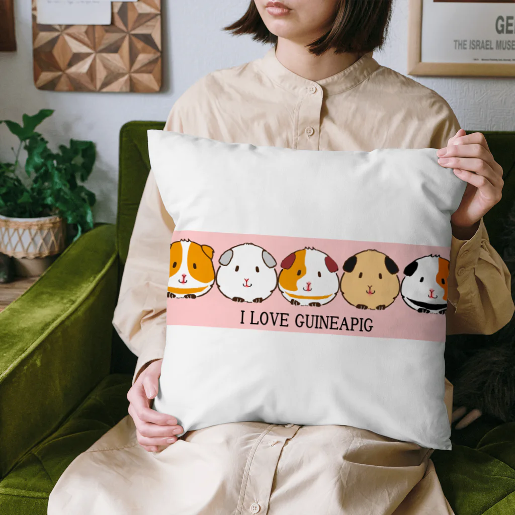 モルモットのミマモル隊のMIMAMORU隊 Cushion