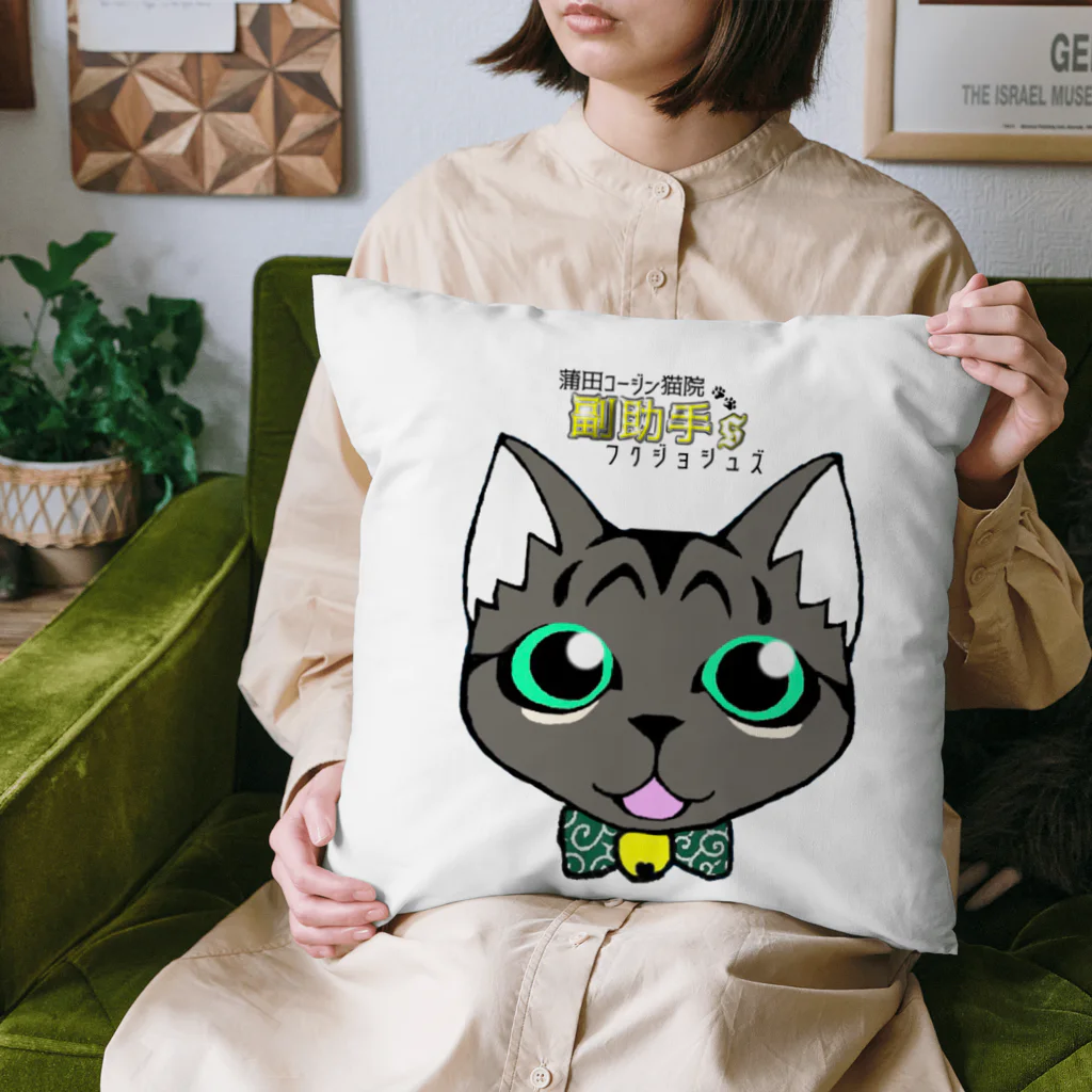 蒲田コージン猫院🐈‍⬛心霊内科👼の蒲田コージン猫院 副助手'S Cushion