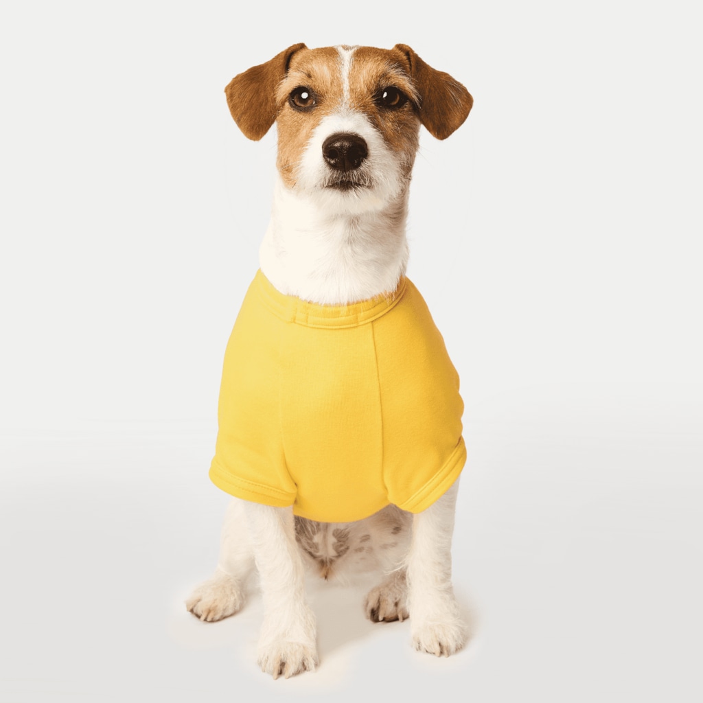 kocoon（コクーン）のもう無理なコウモリ Dog T-shirt