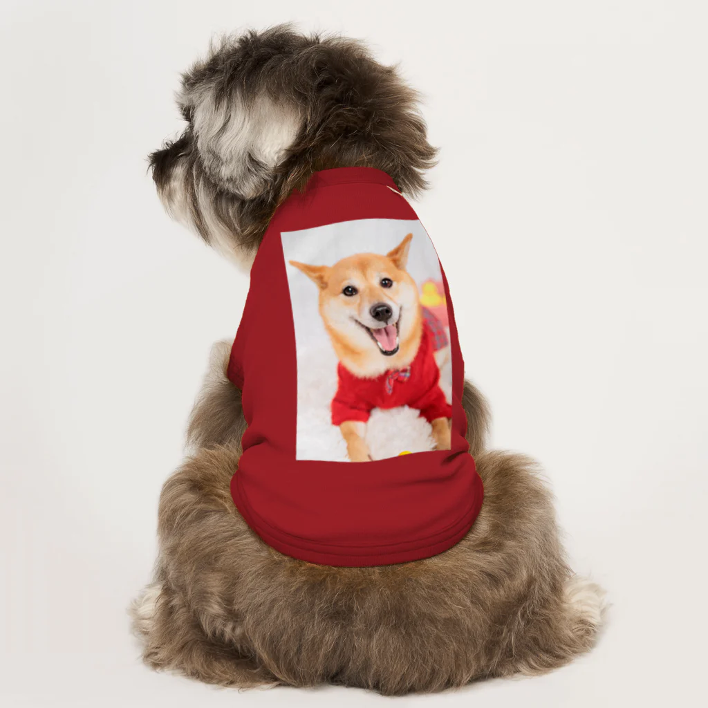 柴犬グッズ専門店 あられ堂の柴犬　スマイル001 Dog T-shirt