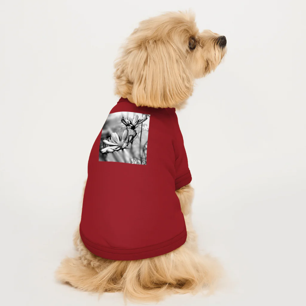 NANASHOPの早咲きのコスモス（モノトーン） Dog T-shirt