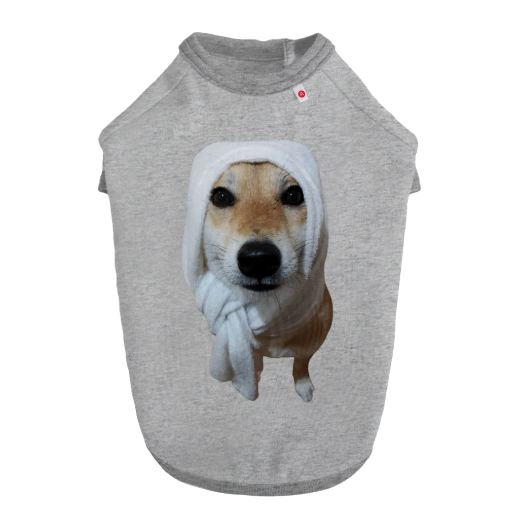 川村さん家の柴犬コロちゃんの湘南のころちゃん Dog T-shirt