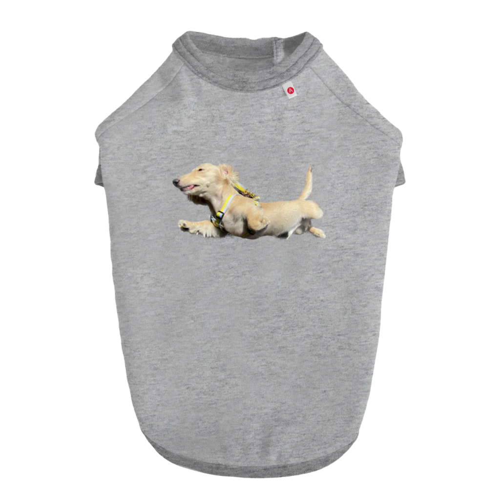 ふっくらぶんたとひよっこティプ のスーパードッグ Dog T-shirt