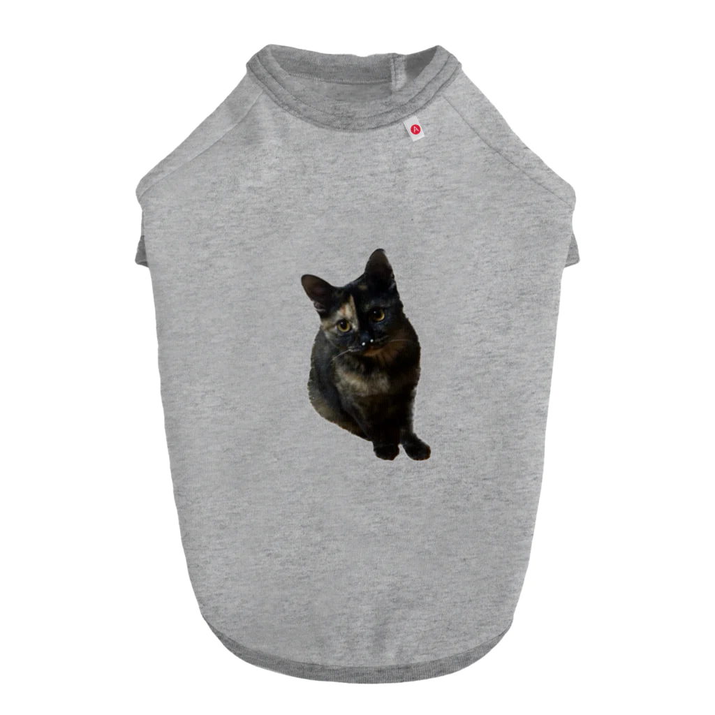 猫のひとりごとのサビ猫くう ドッグTシャツ