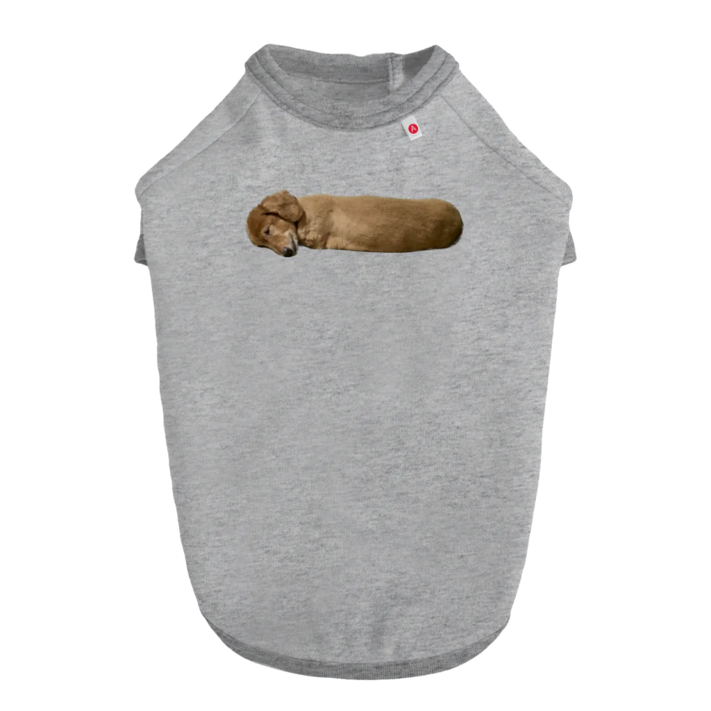 ﾍﾟｯﾂ犬のﾍﾟｯﾂ犬 Dog T-shirt