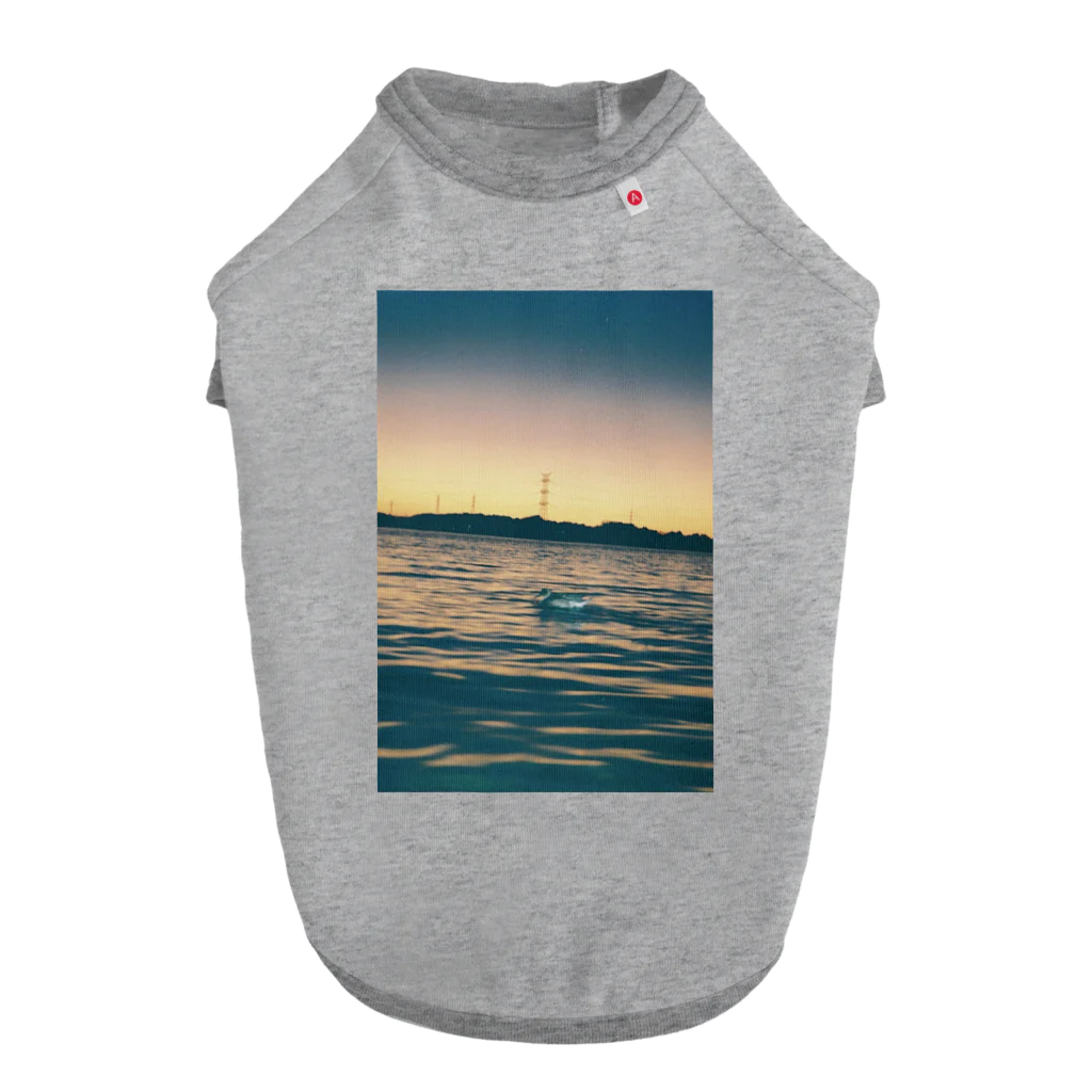 ちくわのフィルムカメラで撮る夕方の湖の景色 ドッグTシャツ