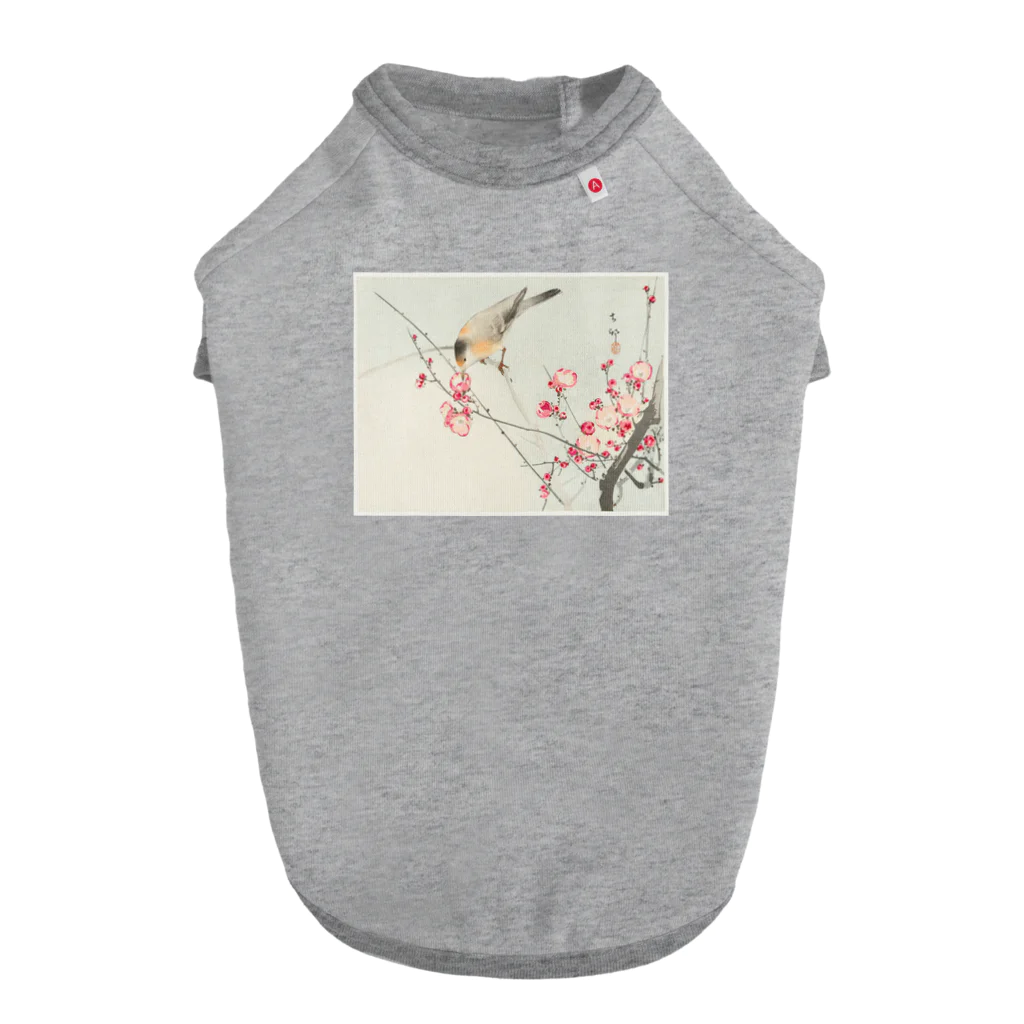 MUGEN ARTの小原古邨　梅に鶯　Ohara Koson / Songbird on blossom branch ドッグTシャツ