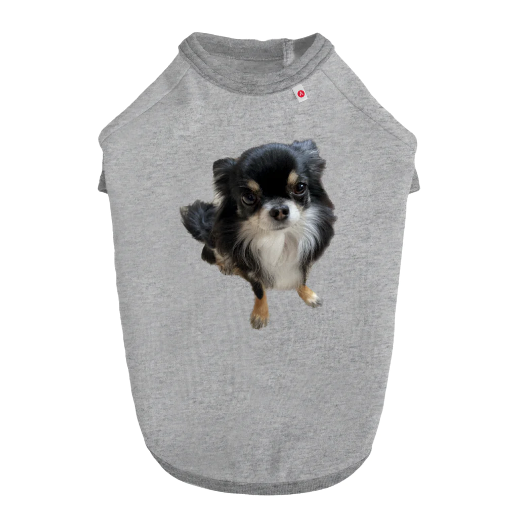 ちわわのりんちゃんのちわわのりんちゃん Dog T-shirt