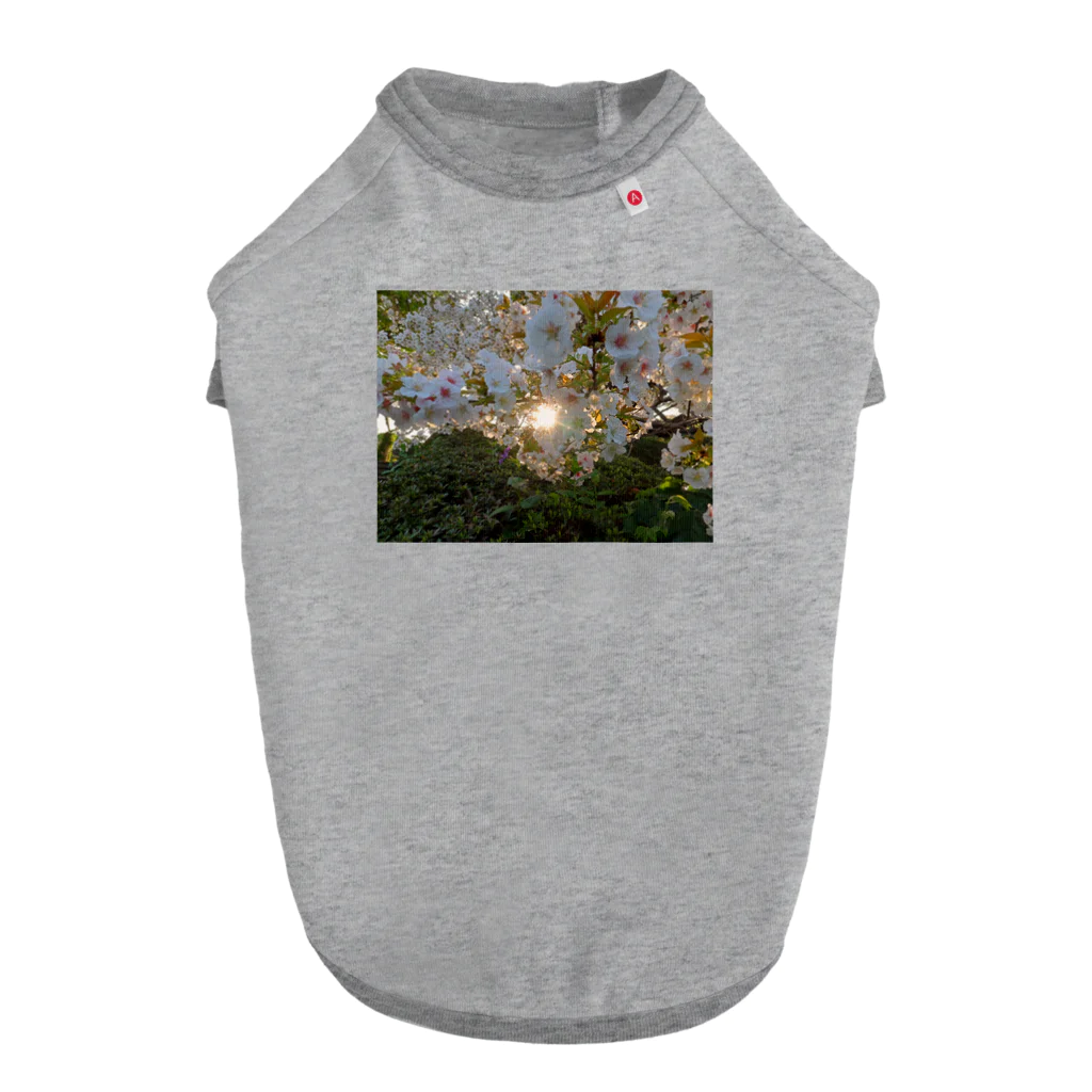 nokkccaの桜満開 - Backlit Sakura - Dog T-shirt