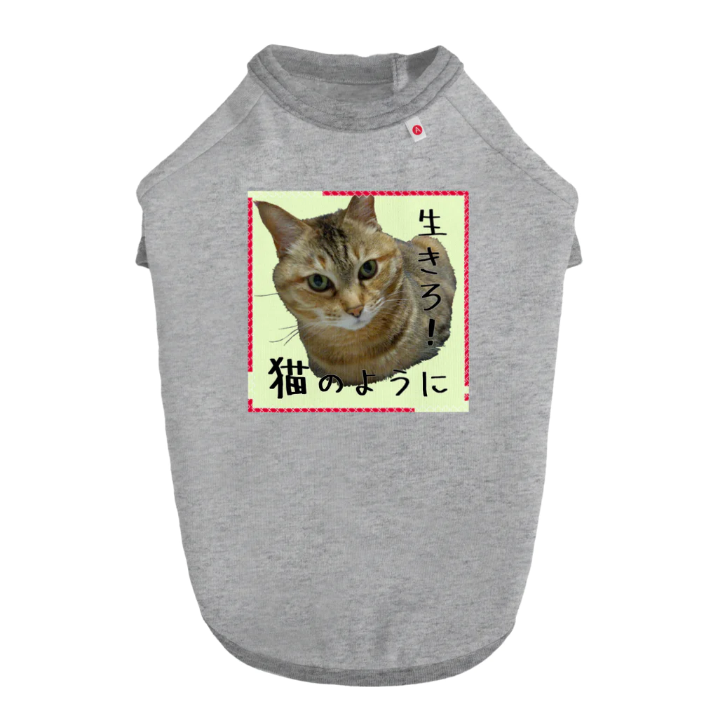 キジトラかもしれないの生きろ！猫のように ドッグTシャツ