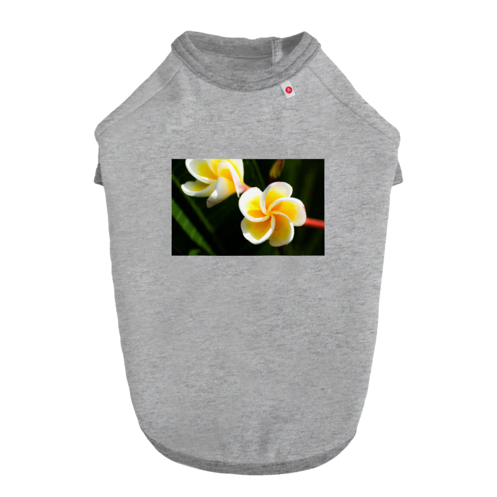 kamakiri3のFlower of the Heart　プルメリア ドッグTシャツ