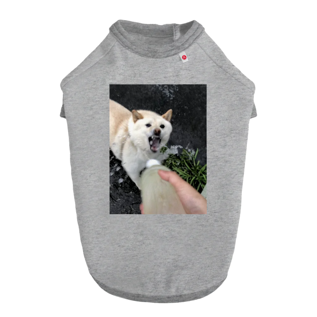 白柴メアリーの②ものすごい顔で水を飲むメアリー2 Dog T-shirt